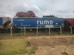 RUMO HTT-350883-8